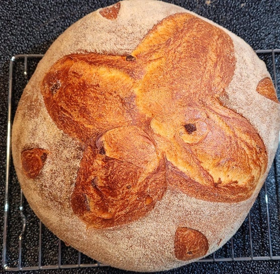 Harvest Sourdough Old Soul Bread Co Old Soul Bread Co